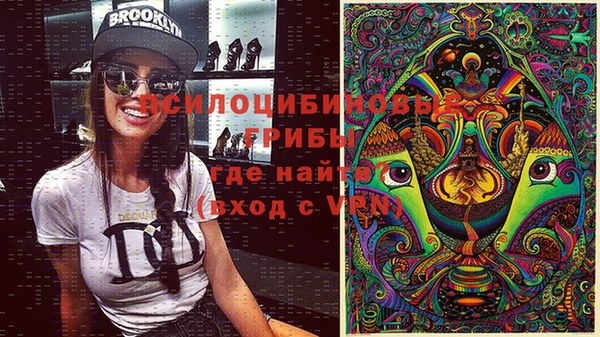 мяу мяу мука Абаза